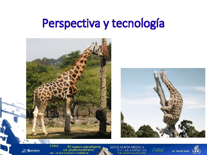 Perspectiva y tecnología FORO Dr. Harold Amía 