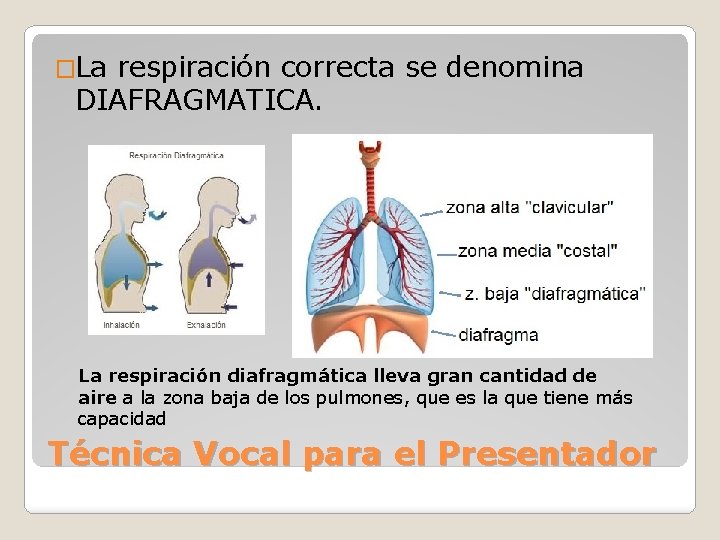 �La respiración correcta se denomina DIAFRAGMATICA. La respiración diafragmática lleva gran cantidad de aire