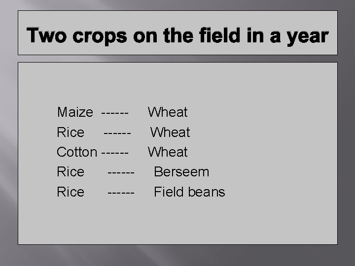 Two crops on the field in a year Maize ------ Wheat Rice ------ Wheat