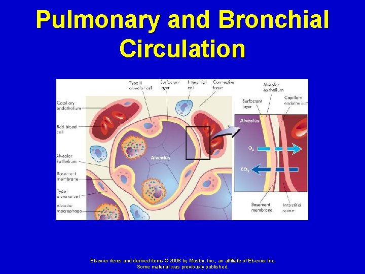 Pulmonary and Bronchial Circulation Elsevier items and derived items © 2008 by Mosby, Inc.