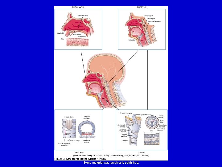 Elsevier items and derived items © 2008 by Mosby, Inc. , an affiliate of