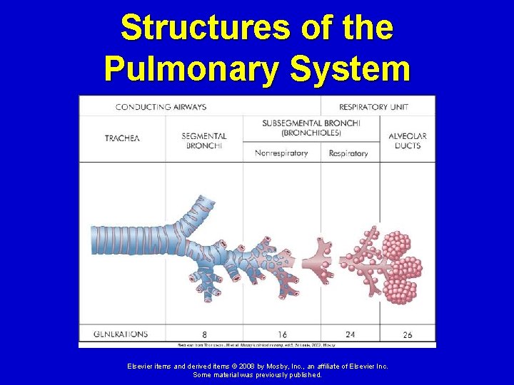 Structures of the Pulmonary System Elsevier items and derived items © 2008 by Mosby,