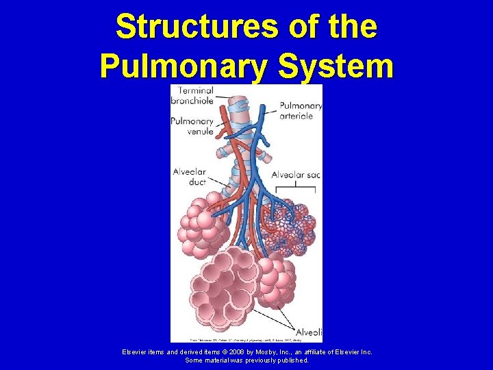 Structures of the Pulmonary System Elsevier items and derived items © 2008 by Mosby,