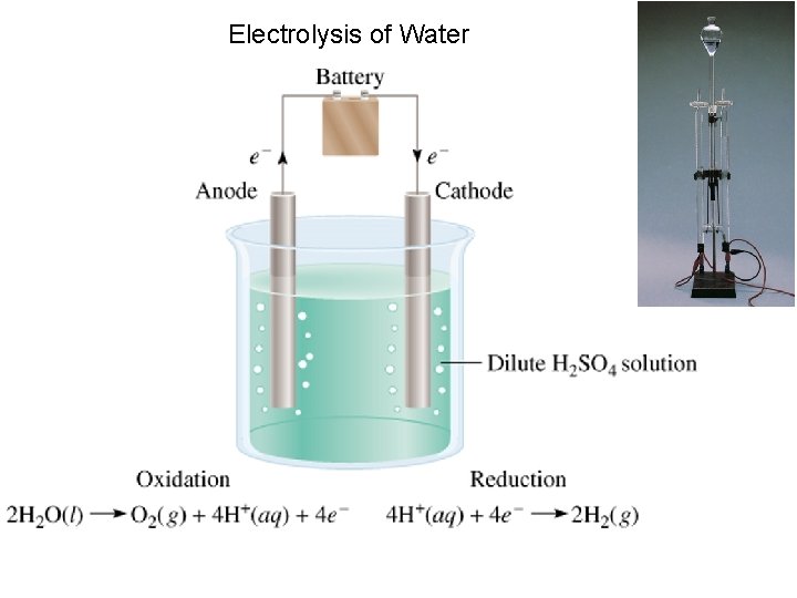 Electrolysis of Water 