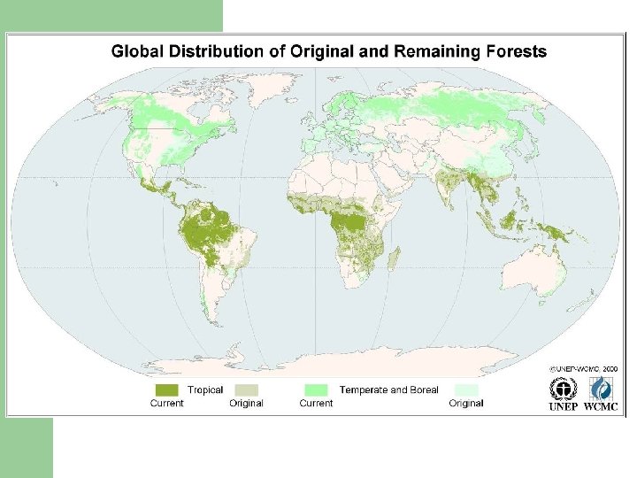 Deforestation 