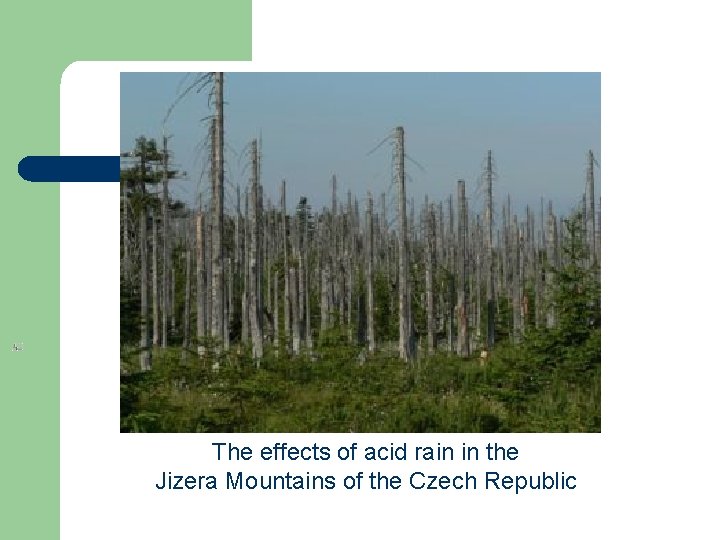 The effects of acid rain in the Jizera Mountains of the Czech Republic 