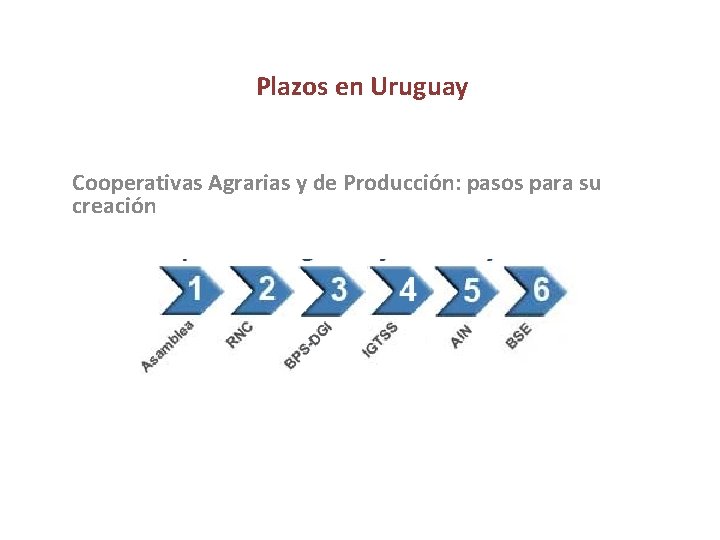 Plazos en Uruguay Cooperativas Agrarias y de Producción: pasos para su creación 