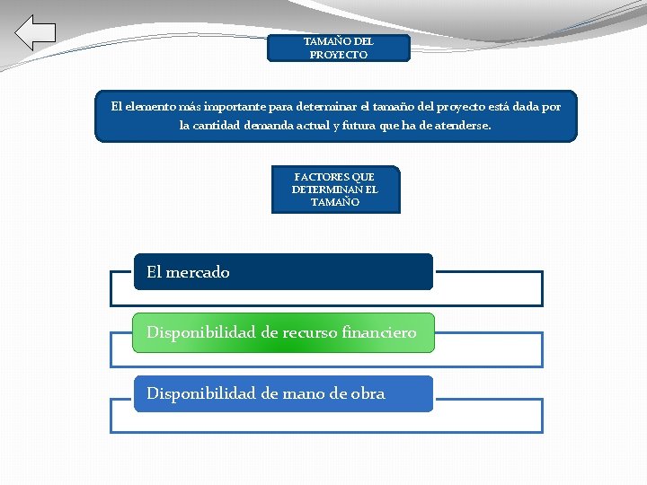 TAMAÑO DEL PROYECTO El elemento más importante para determinar el tamaño del proyecto está