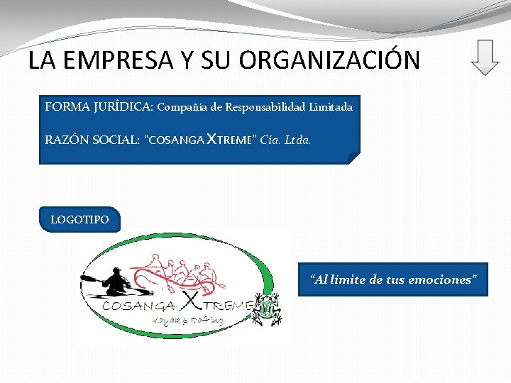 LA EMPRESA Y SU ORGANIZACIÓN FORMA JURÍDICA: Compañía de Responsabilidad Limitada RAZÓN SOCIAL: “COSANGA