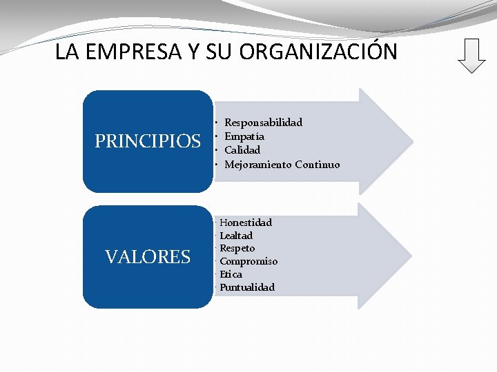 LA EMPRESA Y SU ORGANIZACIÓN PRINCIPIOS VALORES • • Responsabilidad Empatía Calidad Mejoramiento Continuo