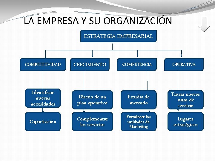 LA EMPRESA Y SU ORGANIZACIÓN ESTRATEGIA EMPRESARIAL COMPETITIVIDAD CRECIMIENTO COMPETENCIA OPERATIVA Identificar nuevas necesidades