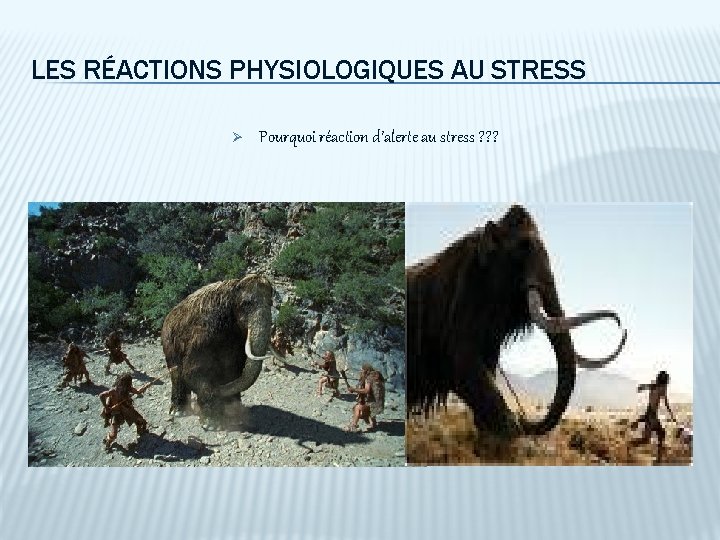 LES RÉACTIONS PHYSIOLOGIQUES AU STRESS Ø Pourquoi réaction d’alerte au stress ? ? ?