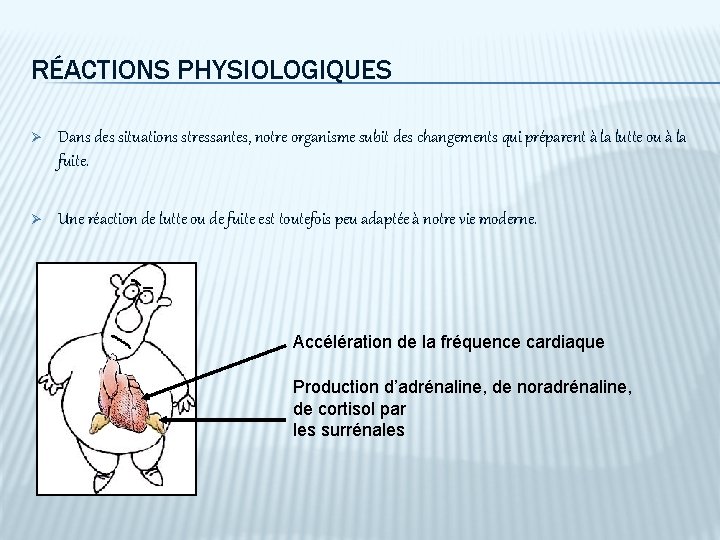 RÉACTIONS PHYSIOLOGIQUES Ø Dans des situations stressantes, notre organisme subit des changements qui préparent