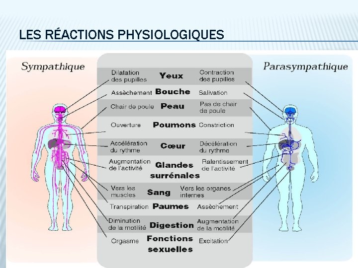 LES RÉACTIONS PHYSIOLOGIQUES 