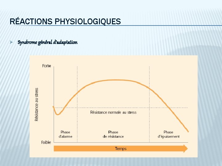 RÉACTIONS PHYSIOLOGIQUES Ø Syndrome général d’adaptation 