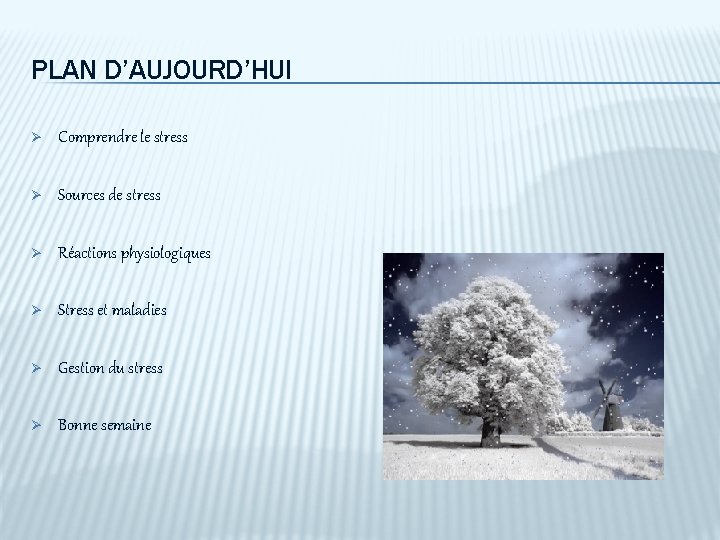 PLAN D’AUJOURD’HUI Ø Comprendre le stress Ø Sources de stress Ø Réactions physiologiques Ø