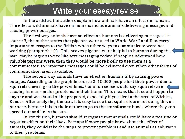 Write your essay/revise 