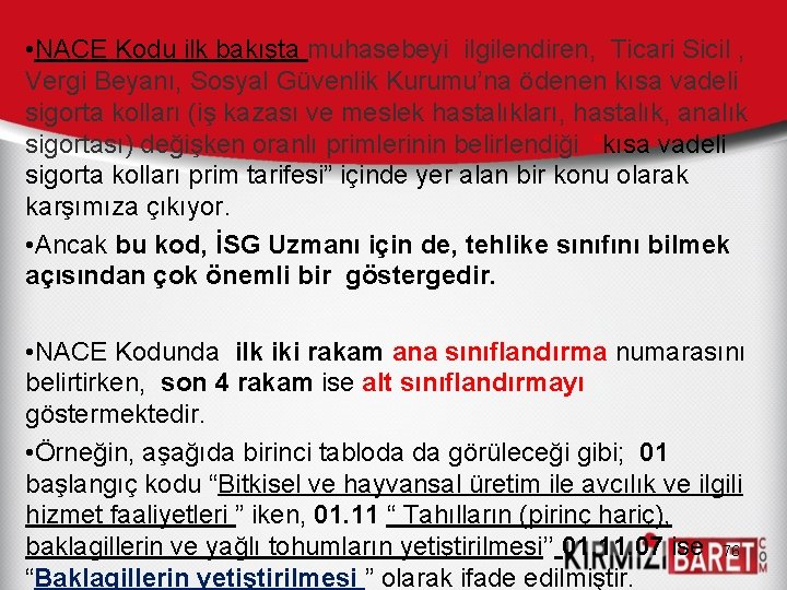  • NACE Kodu ilk bakışta muhasebeyi ilgilendiren, Ticari Sicil , Vergi Beyanı, Sosyal