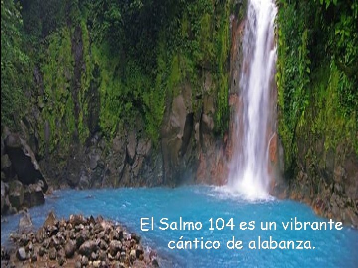 El Salmo 104 es un vibrante cántico de alabanza. 