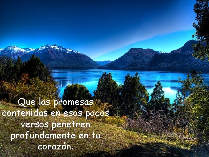 Que las promesas contenidas en esos pocos versos penetren profundamente en tu corazón. 
