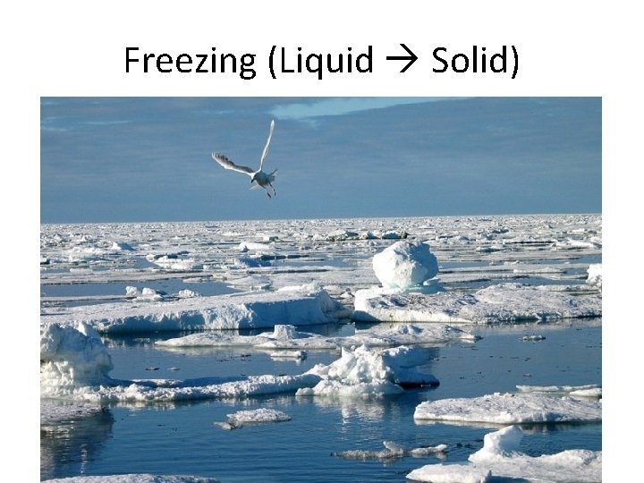 Freezing (Liquid Solid) 