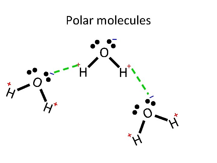 Polar molecules + H O – H + H O – + H –