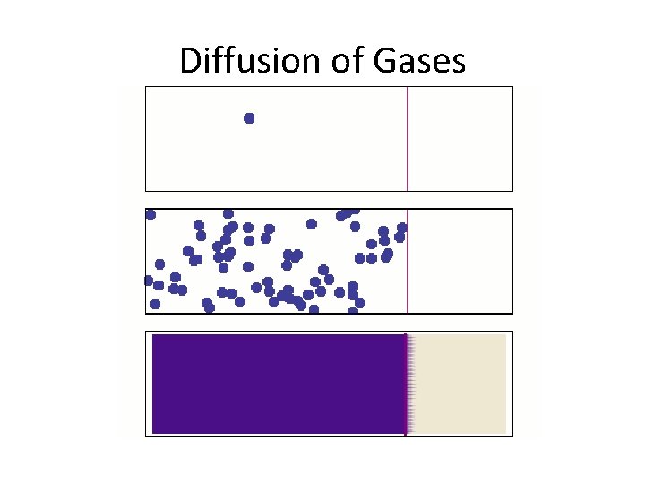 Diffusion of Gases 