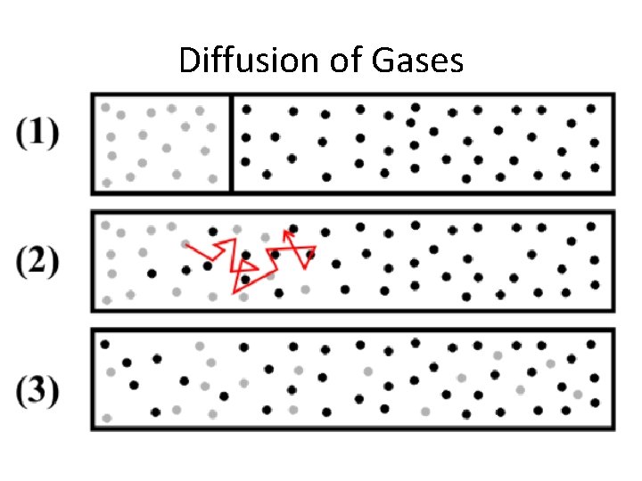 Diffusion of Gases 