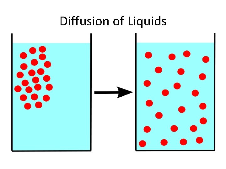 Diffusion of Liquids 