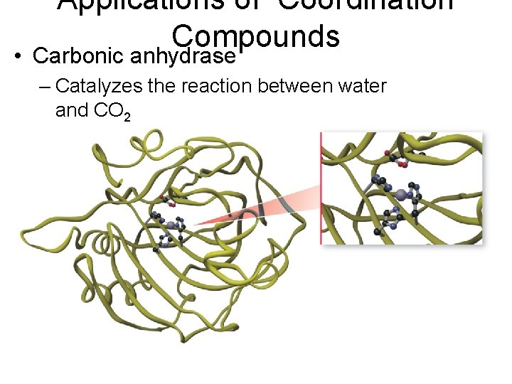 Applications of Coordination Compounds • Carbonic anhydrase – Catalyzes the reaction between water and