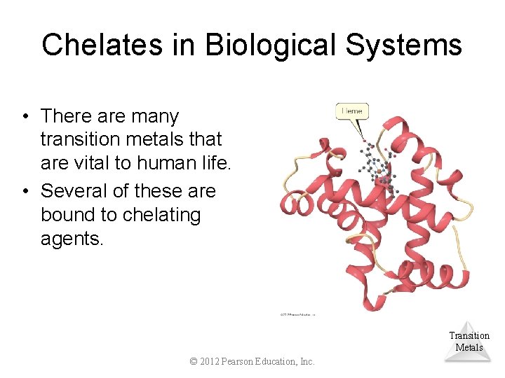 Chelates in Biological Systems • There are many transition metals that are vital to