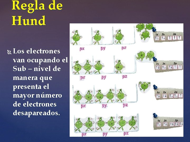 Regla de Hund Los electrones van ocupando el Sub – nivel de manera que