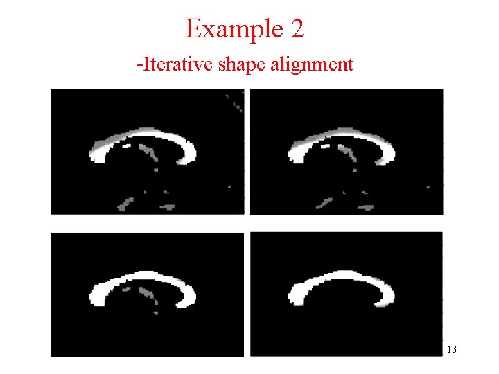 Example 2 -Iterative shape alignment 13 