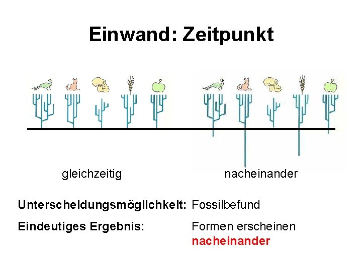 Einwand: Zeitpunkt gleichzeitig nacheinander Unterscheidungsmöglichkeit: Fossilbefund Eindeutiges Ergebnis: Formen erscheinen nacheinander 