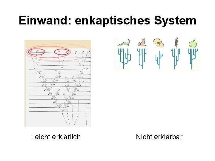 Einwand: enkaptisches System Leicht erklärlich Nicht erklärbar 