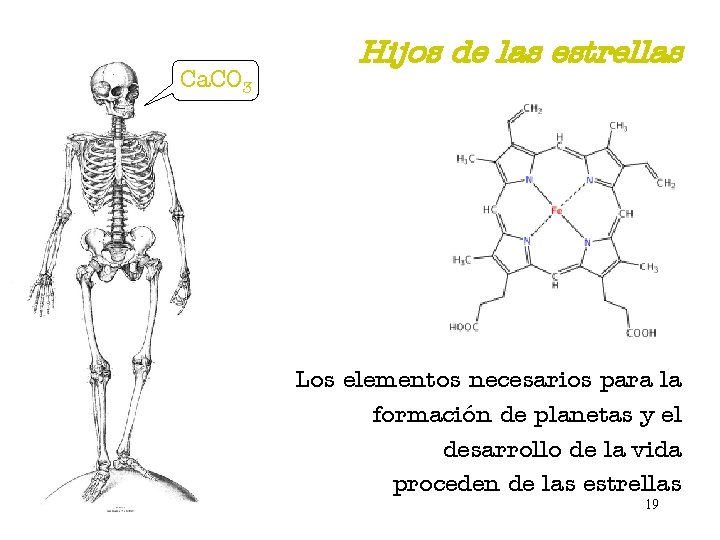 Ca. CO 3 Hijos de las estrellas Los elementos necesarios para la formación de