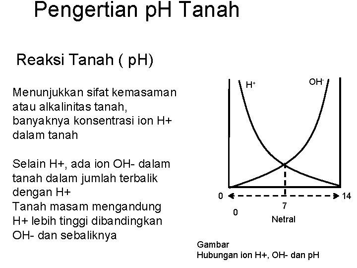 Pengertian p. H Tanah Reaksi Tanah ( p. H) Menunjukkan sifat kemasaman atau alkalinitas