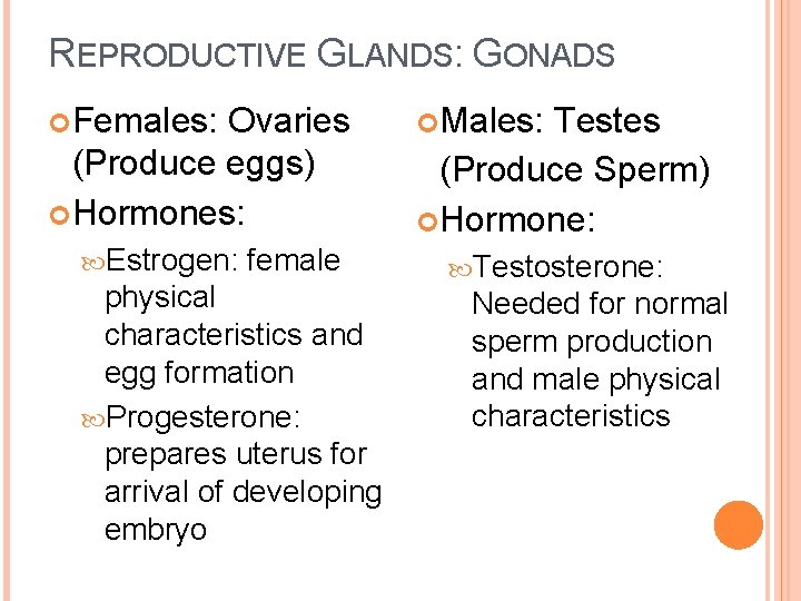 REPRODUCTIVE GLANDS: GONADS Females: Ovaries (Produce eggs) Hormones: Estrogen: female physical characteristics and egg