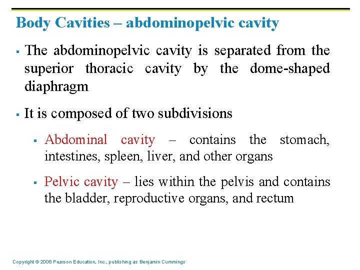 Body Cavities – abdominopelvic cavity § § The abdominopelvic cavity is separated from the