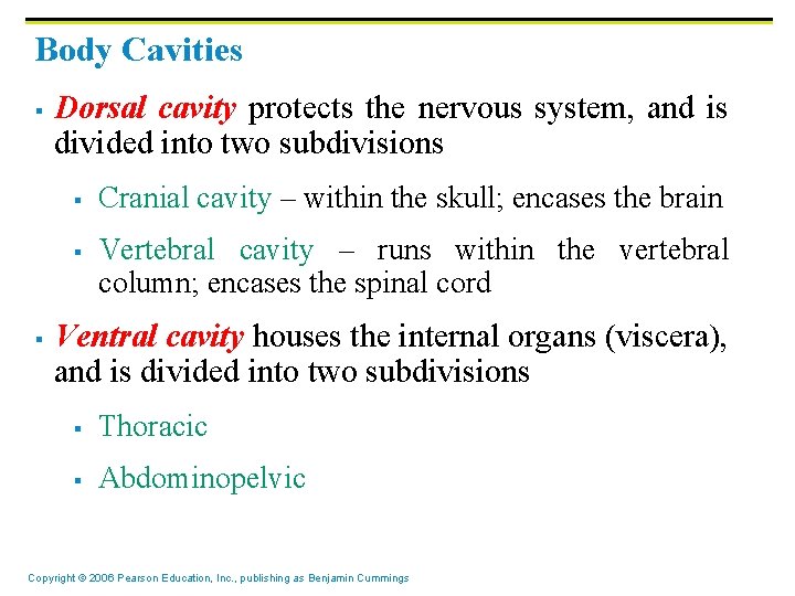 Body Cavities § Dorsal cavity protects the nervous system, and is divided into two