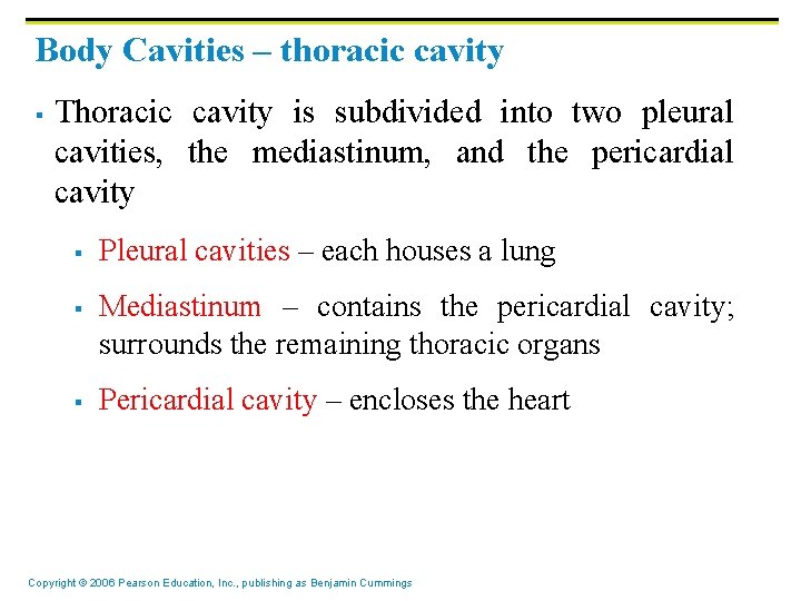 Body Cavities – thoracic cavity § Thoracic cavity is subdivided into two pleural cavities,