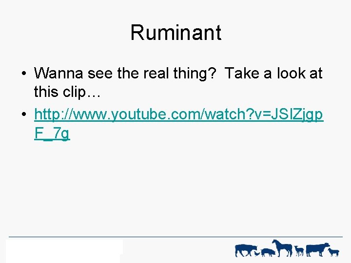 Ruminant • Wanna see the real thing? Take a look at this clip… •