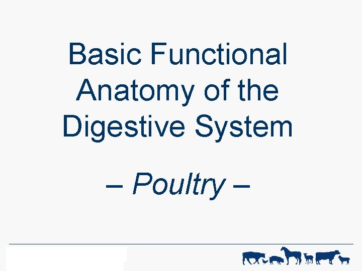 Basic Functional Anatomy of the Digestive System – Poultry – WF-R ANIMAL SCIENCE 1