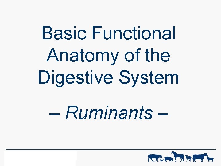 Basic Functional Anatomy of the Digestive System – Ruminants – WF-R ANIMAL SCIENCE 1
