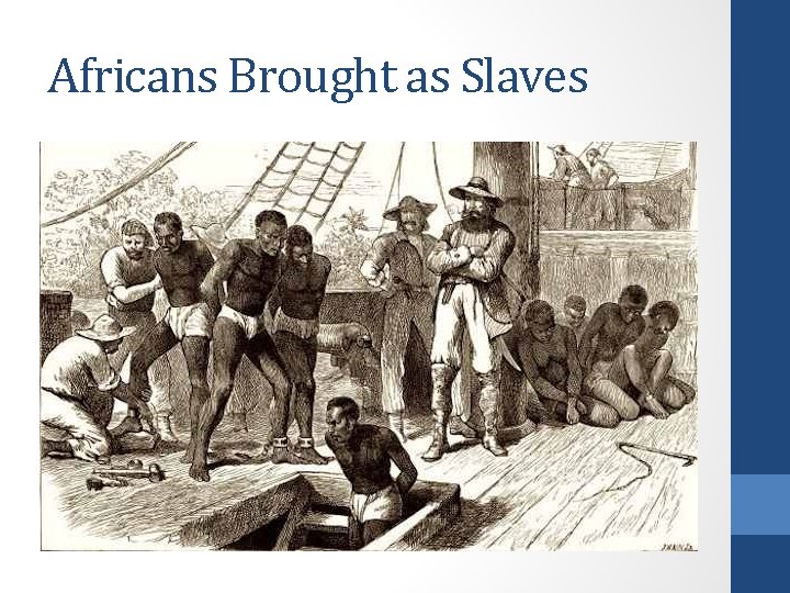 Africans Brought as Slaves 