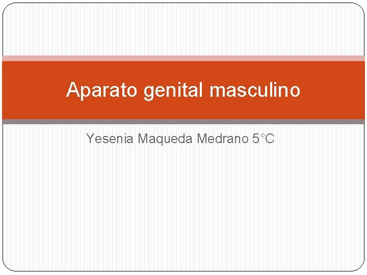 Aparato genital masculino Yesenia Maqueda Medrano 5°C 