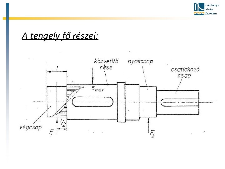 Széchenyi István Egyetem A tengely fő részei: 