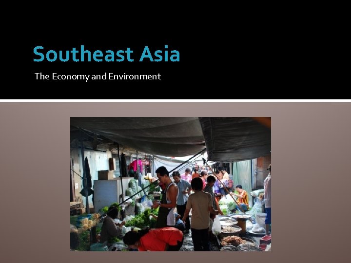 Southeast Asia The Economy and Environment 