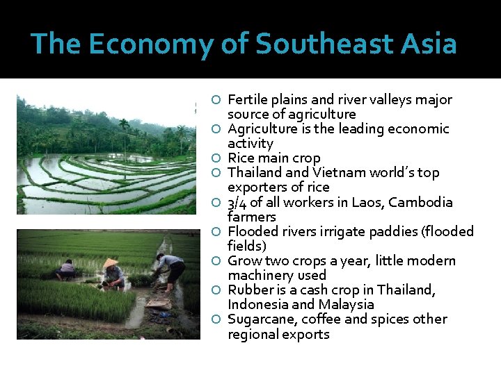 The Economy of Southeast Asia Fertile plains and river valleys major source of agriculture