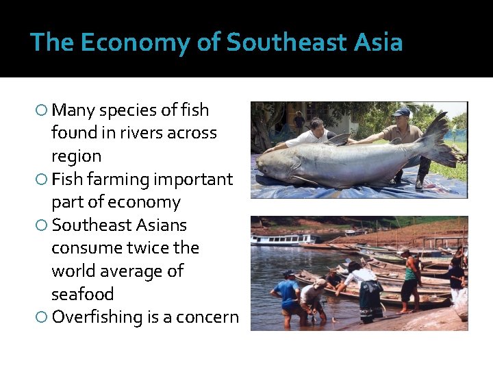 The Economy of Southeast Asia Many species of fish found in rivers across region